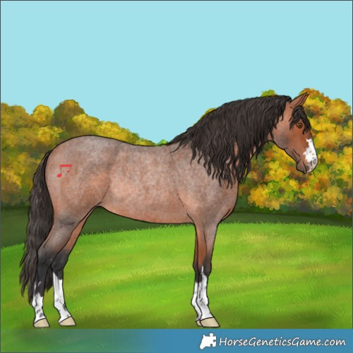 Horse Color:Bay Roan Rabicano 
