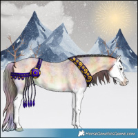 Horse Color:Nacre Buckskin Roan Onyx Splash 