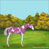 Horse Color:Watercolor White Spotted Silver Brown Splash 