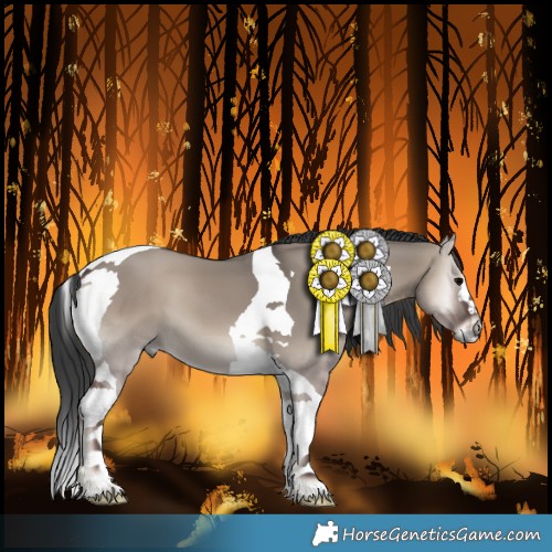 Horse Color:Grullo Onyx Tobiano 