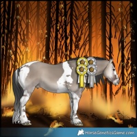 Horse Color:Grullo Onyx Tobiano 