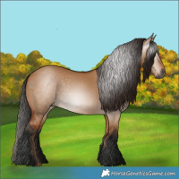 Horse Color:Gray Bay Dun 