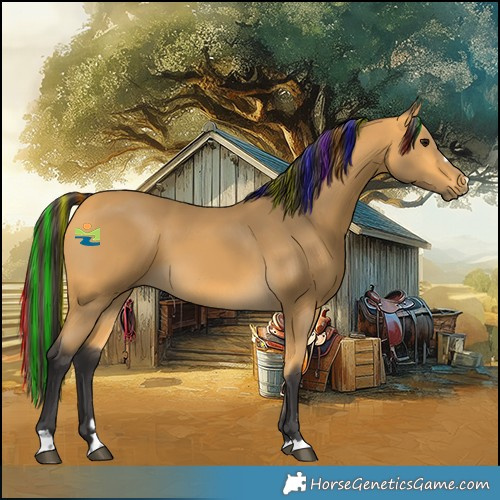 Horse Color:Painted Buckskin 