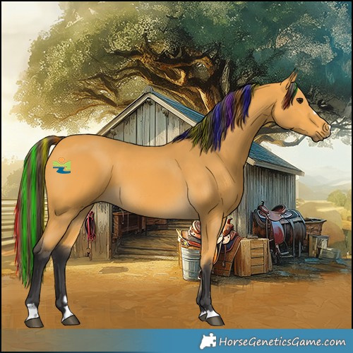 Horse Color:Painted Buckskin 