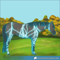 Horse Color:Thunderstruck Grullo 