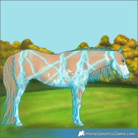 Horse Color:Thunderstruck Gold Champagne 