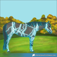 Horse Color:Thunderstruck Grullo