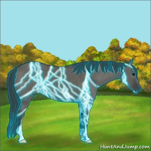 Horse Color:Thunderstruck Grullo 