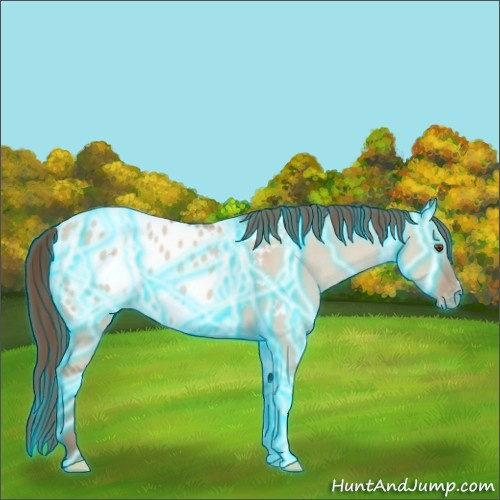 Horse Color:Thunderstruck Classic Champagne Dun Appaloosa 