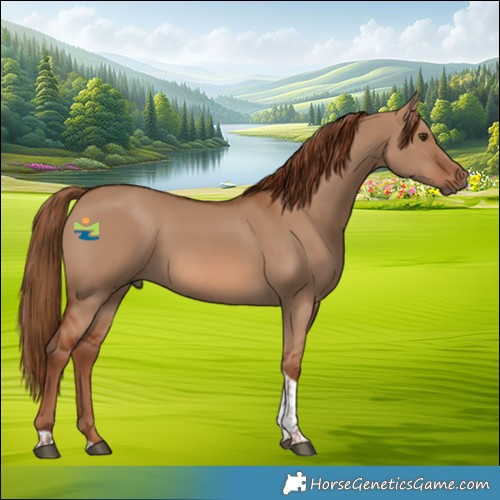 Horse Color:Red Dun Tobiano 