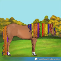 Horse Color:Painted Chestnut