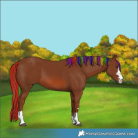 Horse Color:Painted Chestnut 