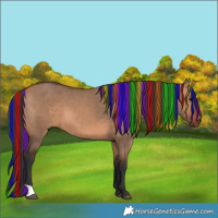 Horse Color:Painted Bay Dun 