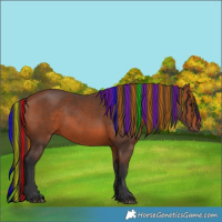 Horse Color:Painted Bay 