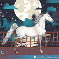 Horse Color:Gray Silver Sable Champagne Dun 