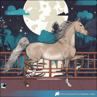 Horse Color:Silver Brown Dun