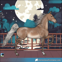 Horse Color:Silver Brown Dun 