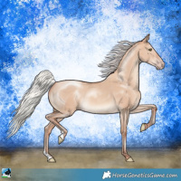 Horse Color:Silver Sable Champagne Dun