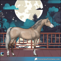 Horse Color:Silver Brown Dun Sabino Rabicano