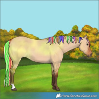 Horse Color:Painted Silver Bay Dun 