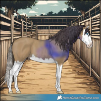 Horse Color:Classic Cream Champagne Splash 