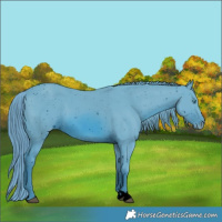 Horse Color:ERROR: UNKNOWN ANOMALY