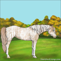 Horse Color:Chocolate Palomino Roan Pearl Tobiano Frame  and Chocolate Palomino Roan Pearl Tobiano Frame 