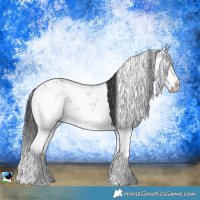 Horse Color:Grullo Mushroom Sabino Splash Rabicano Brindle 
