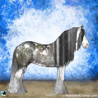Horse Color:Grullo Mushroom Sabino Splash Rabicano Brindle 