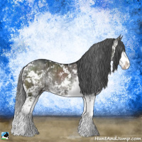 Horse Color:Grullo Mushroom Sabino Rabicano Brindle 