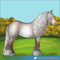 Horse Color:Gray Silver Black Pearl Tobiano 