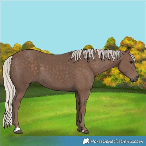 Horse Color:Silver Black 