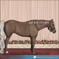 Horse Color:Silver Black 