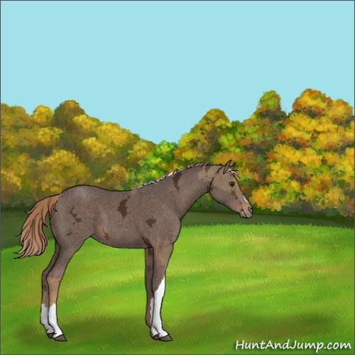 Horse Color:Chocolate Palomino Ice  and Liver Chestnut Ice 