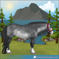 Horse Color:Brown Chinchilla