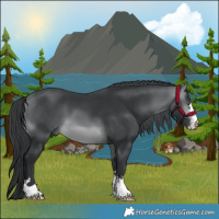 Horse Color:Brown Chinchilla