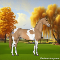 Horse Color:Chestnut Tobiano 