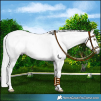 Horse Color:Gray Silver Classic Champagne 