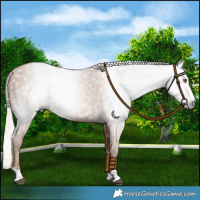 Horse Color:Gray Silver Black Pearl 