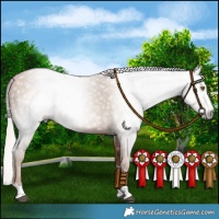 Horse Color:Gray Silver Black Pearl 