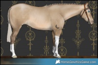 Horse Color:Gray Silver Buckskin Pearl Dun Tobiano 