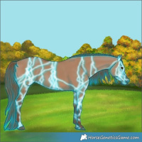 Horse Color:Thunderstruck Red Dun