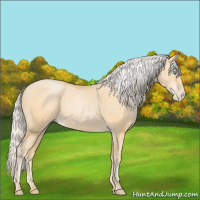 Horse Color:Silver Buckskin Pearl 