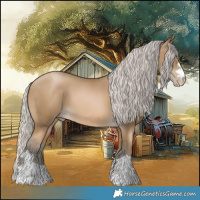 Horse Color:Gray Silver Buckskin Pearl 