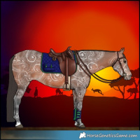 Horse Color:Bay Ice 