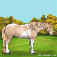 Horse Color:Red Roan Pearl Tobiano Frame