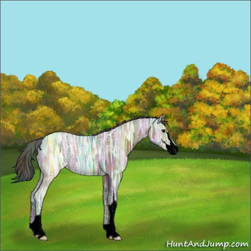 Horse Color:Void Nacre Brown Ice Sabino 
