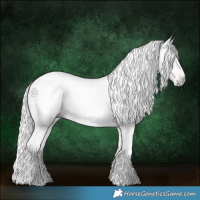 Horse Color:Gray Red Roan Pearl Tobiano Frame 