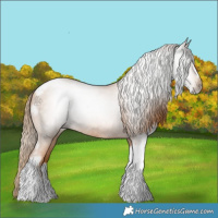 Horse Color:Gray Red Roan Pearl Tobiano Frame 