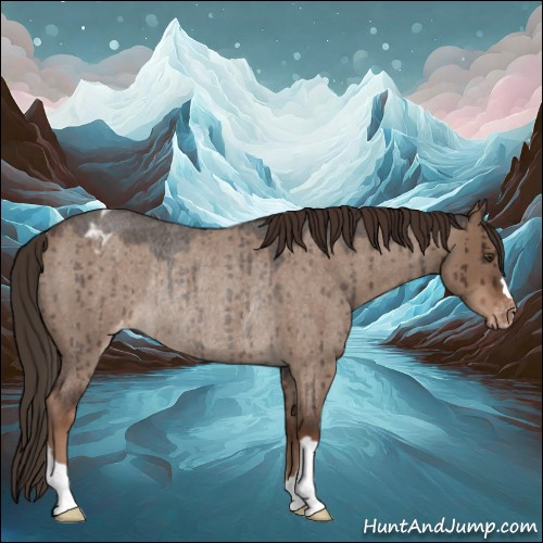 Horse Color:Liver Red Dun Roan Appaloosa Rabicano Brindle 